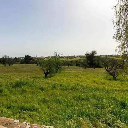 Casa Da Colina - Privat Pool & Bbq & Privacy * Albufeira